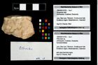 Foto (Objekt + Etikett) von Pithonoton sp.  (NHMW-GEO-1990-0041-4763)